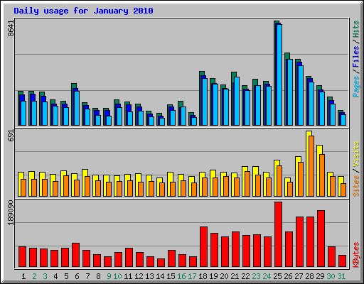 Daily usage for January 2010