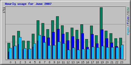 Hourly usage for June 2007